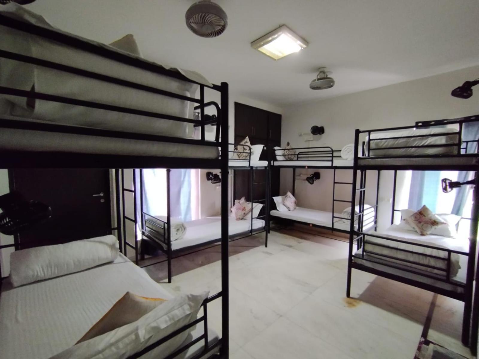A Sleepy Fox Hostel New Delhi Luaran gambar